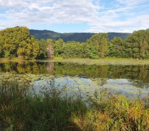 Cattana Wetlands, Cairns, Queensland.