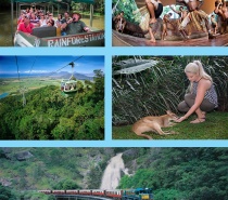 Train, Skyrail, Rainforestation & Butterfly Sanctuary (Grand Kuranda Experience)