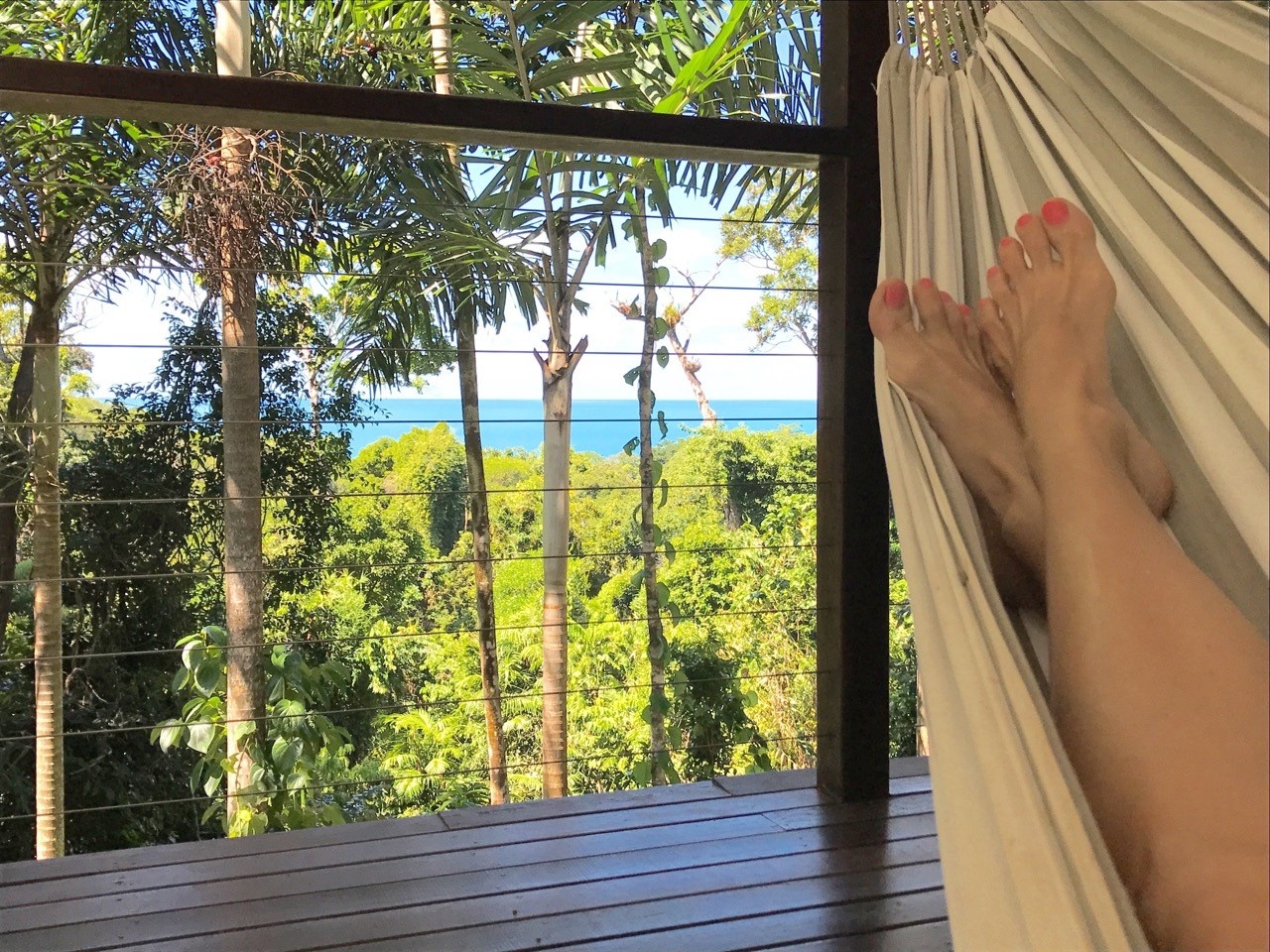 Daintree Magic Holiday House Tourism Town The Tourism Marketplace