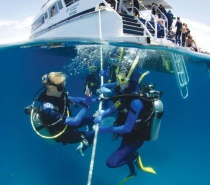Intro dive on the Great Barrier Reef