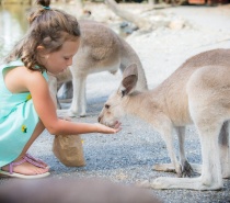 Wildlife Habitat Port Douglas