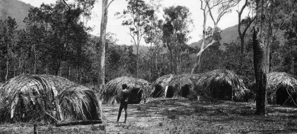 Aboriginal huts