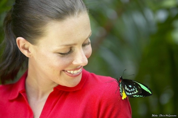 AUSTRALIAN BUTTERFLY SANCTUARY