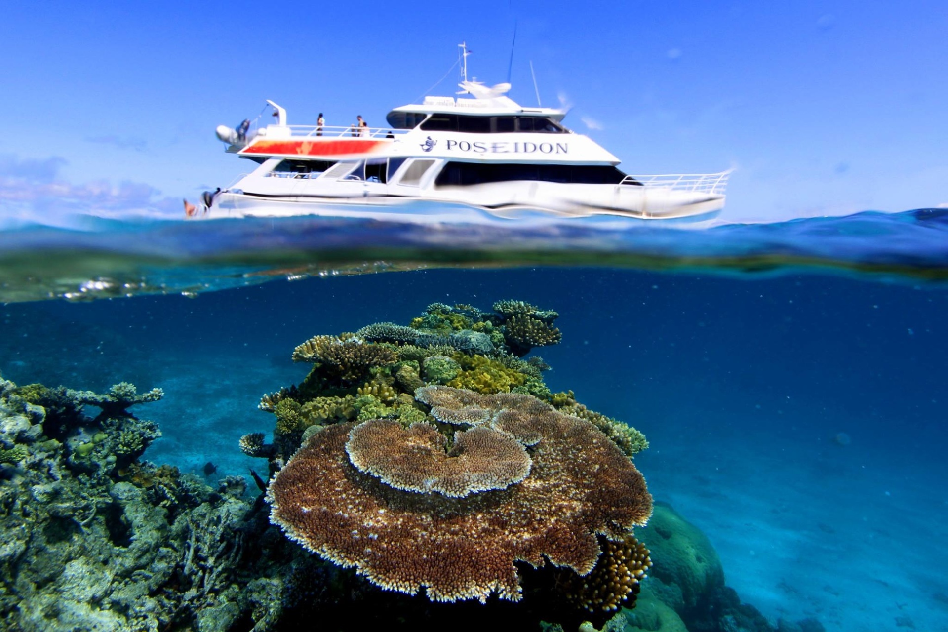 port douglas reef tours small group