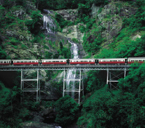 The scenic rail journey takes 1.5 hours through to Cairns Railway Station.