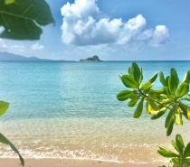 View over the beach from Dunk Island