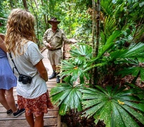 How amazing is this up close and personal board walk through the Daintree Rainforest 
