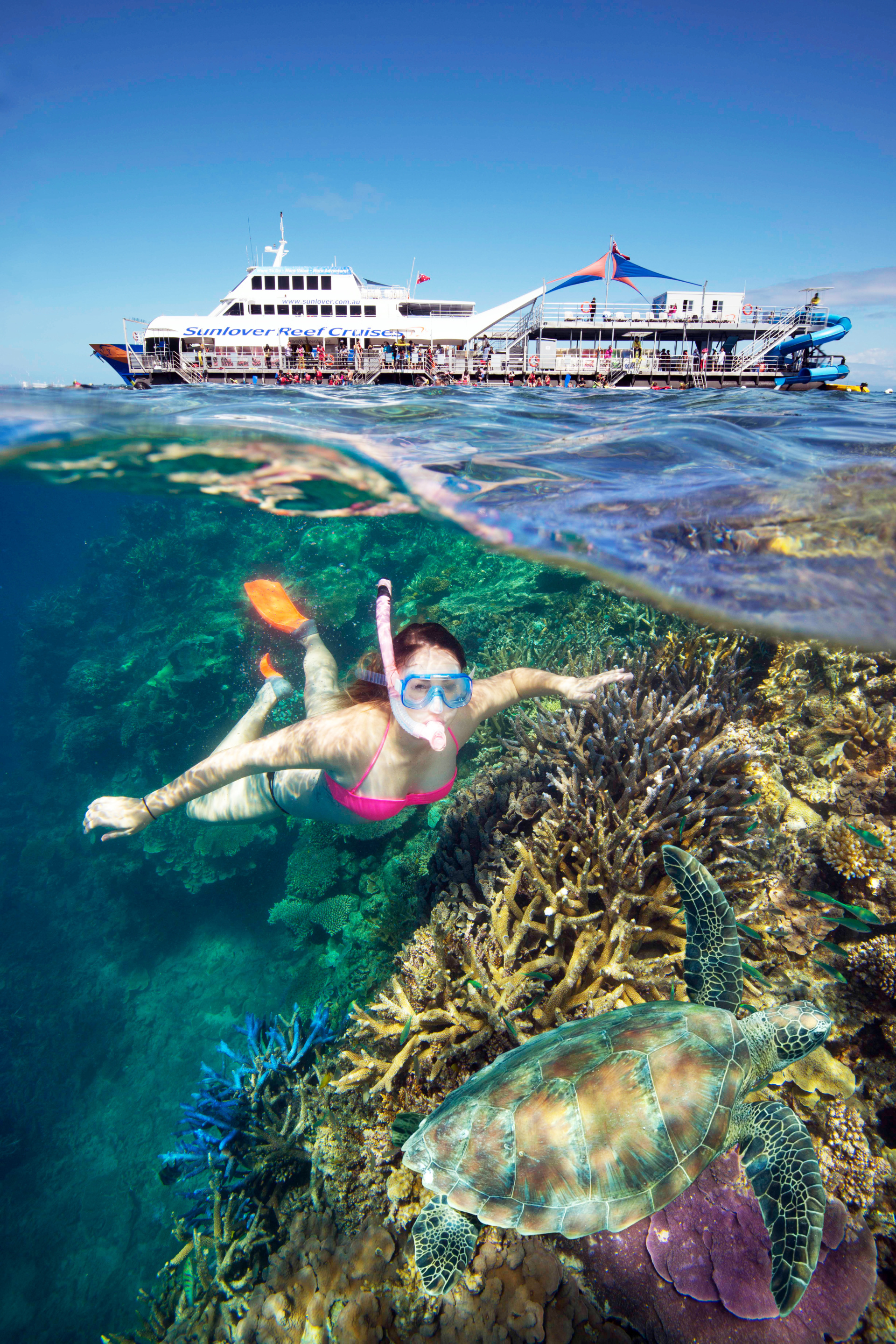 sunlover reef tours cairns