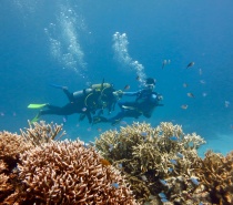Scuba diving available