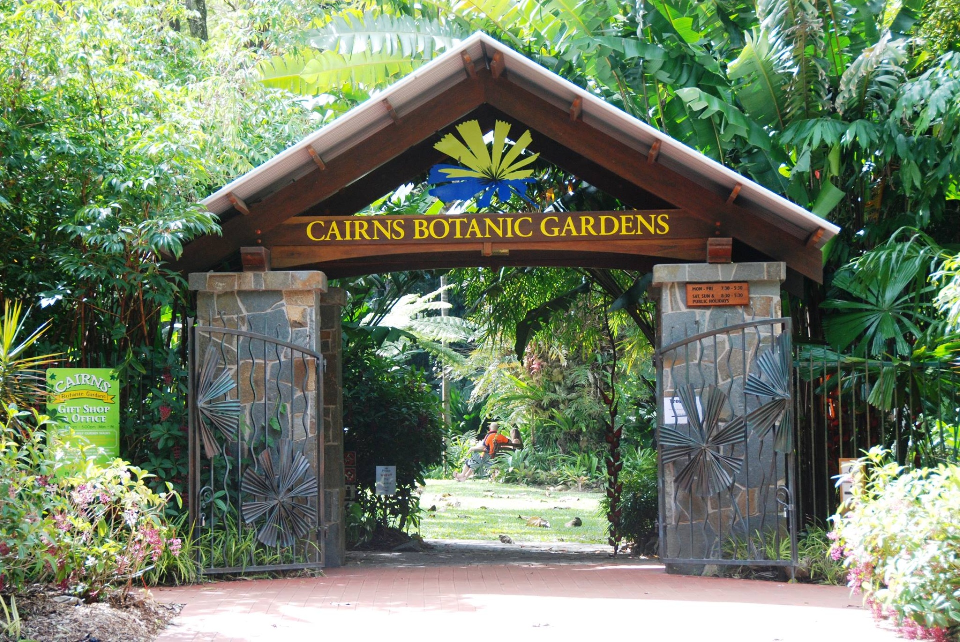 Cairns Events Event Details Friends of the Botanic Gardens plant Sale