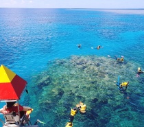 Our friendly snorkelling safety officers can assist you with your snorkelling gear and give you a few tips so that you can fully enjoy your experience.