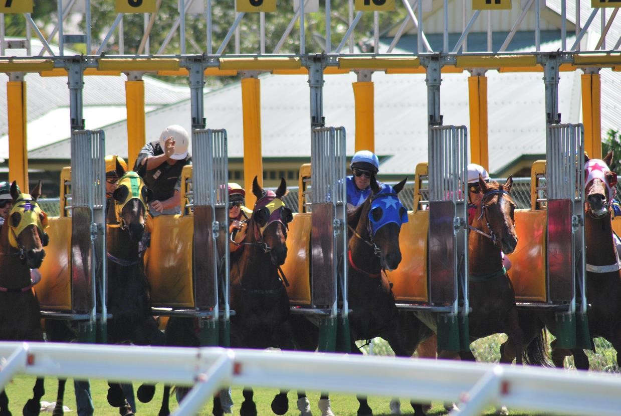 Cairns Events Event Details Magic Millions Up & Coming Stayers Race Day