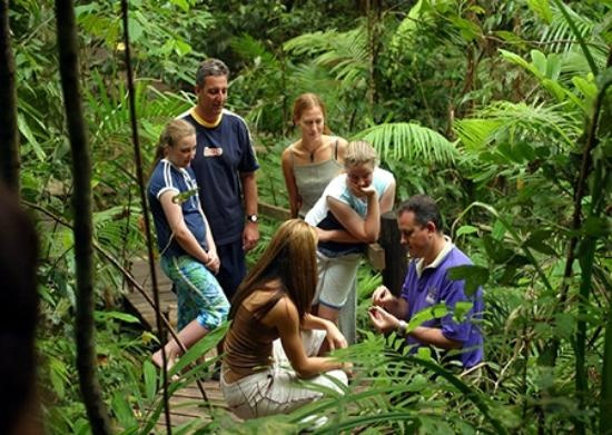Daintree Discovery Centre