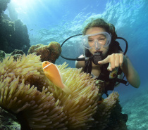 Great Barrier Reef