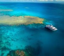  we visit some of the best dive and snorkel locations on the Outer Great Barrier Reef at  Agincourt, Opal and St Crispin's Reefs.