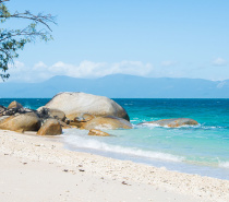 Spend the day snorkelling the fringing coral reefs from the beach at Fitzroy Island