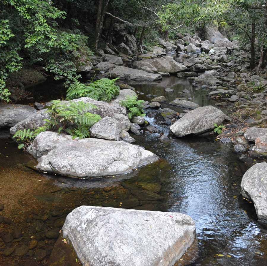 Stoney Creek Cairns