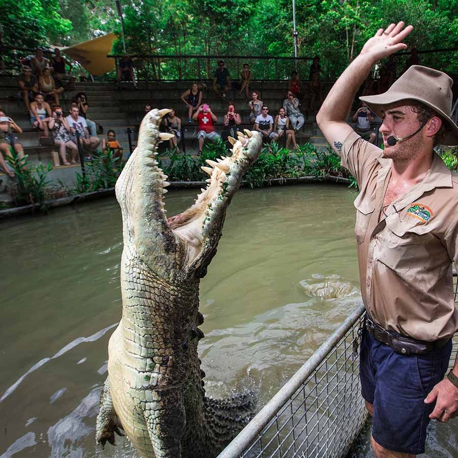 Cairns Wildlife Parks