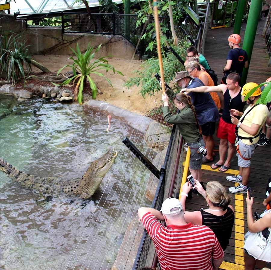 Cairns Rainforest Dome