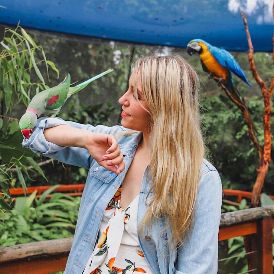 A rainforest backdrop with a woman who is looking at a bird that has landed her elbow at Birworld Kuranda