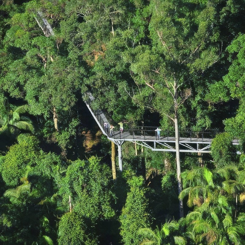 Mount Tamborine Rainforest Skywalk