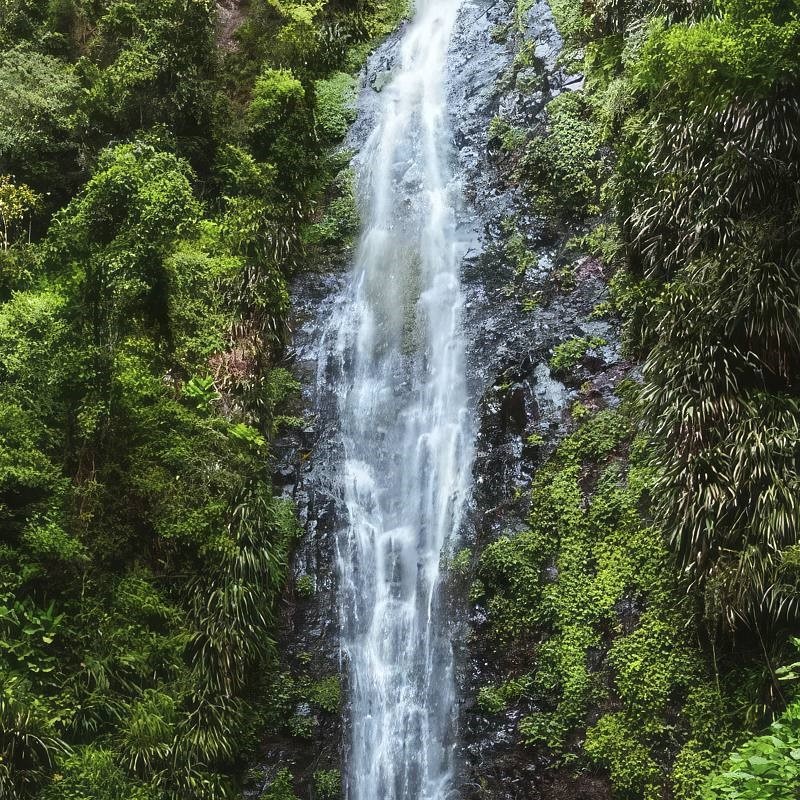 Lamington National Park Waterfalls