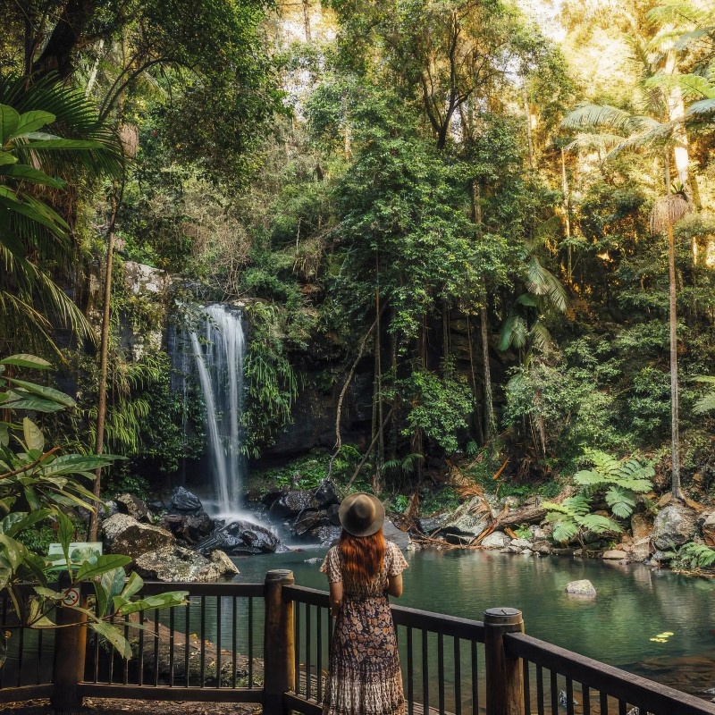 Springbrook National Park 