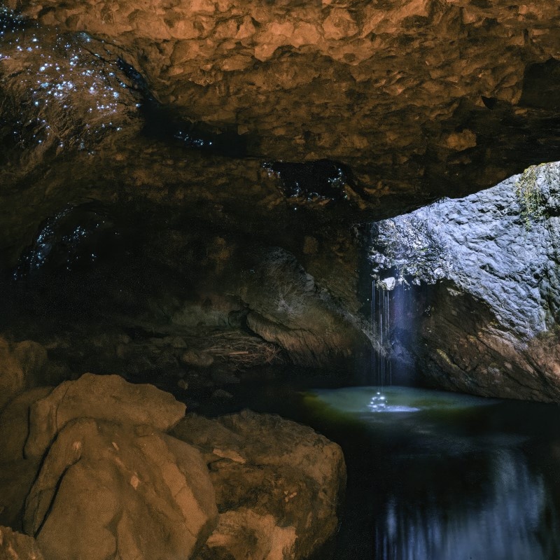 The Natural Bridge Gold Coast Hinterland