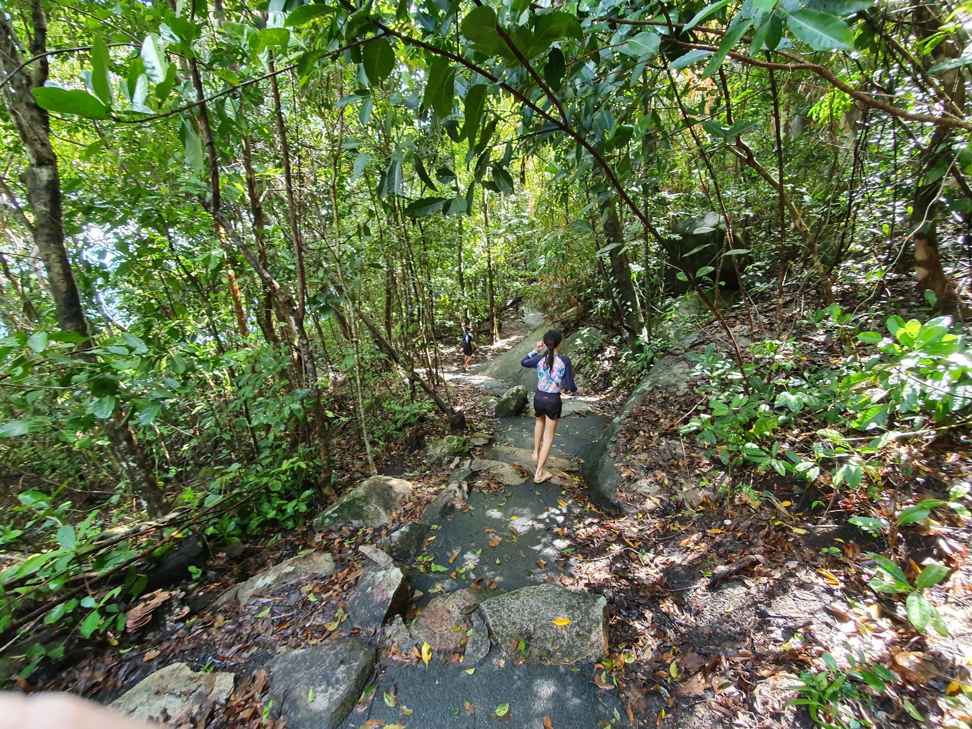 Fitzroy Island Walk