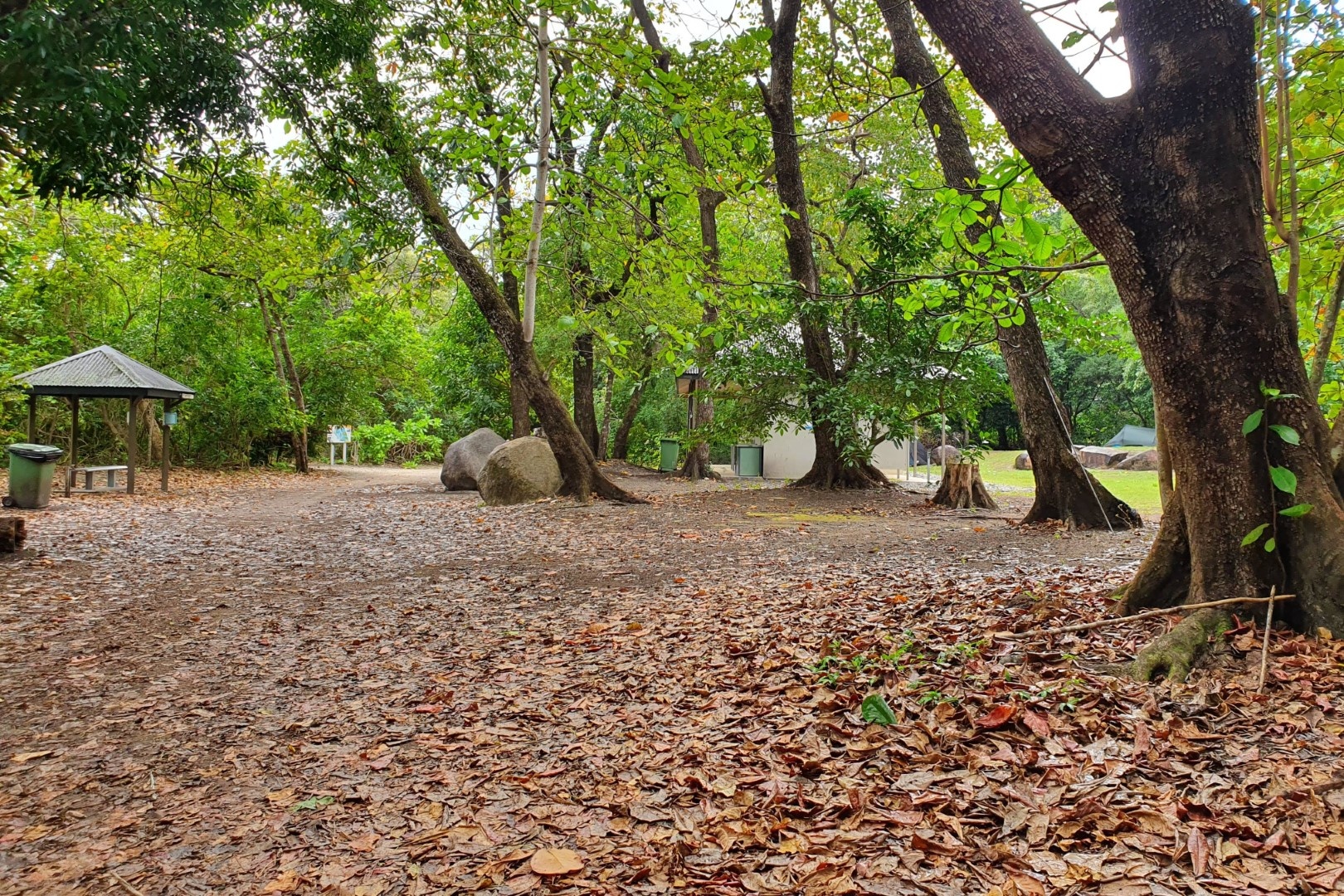 Fitzroy Island Campgrounds
