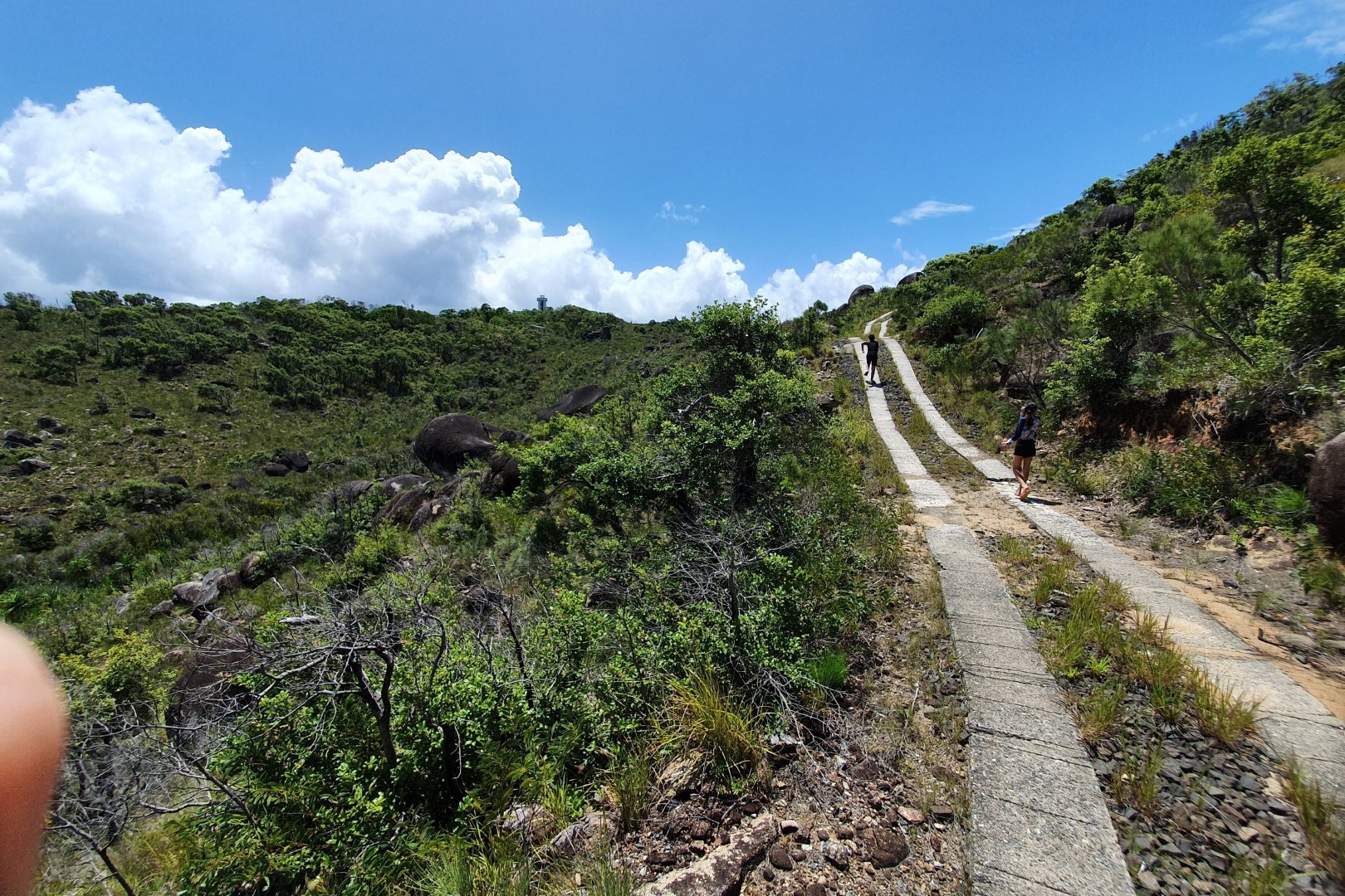 Lighthouse Road Track Fitzroy Island