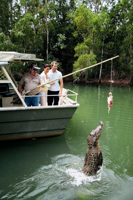 A Crocodile that is jumping out of the water to eat food on the end of a stick held by a tour guide on a boat.