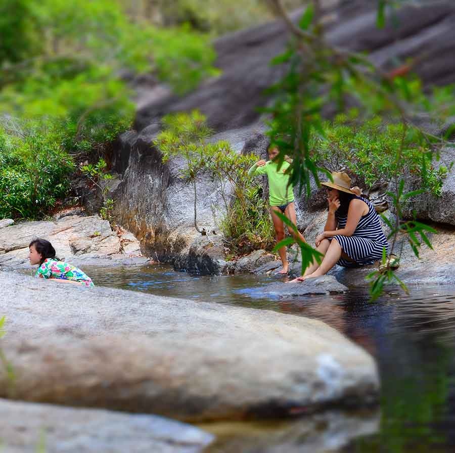 Davies Creek National Park