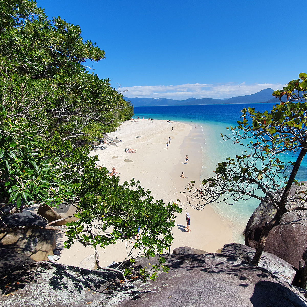 Fitzroy Island Day Tour