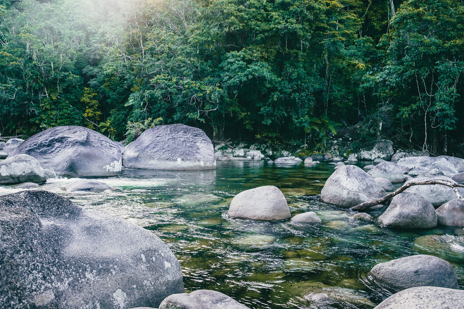 Mossman Gorge