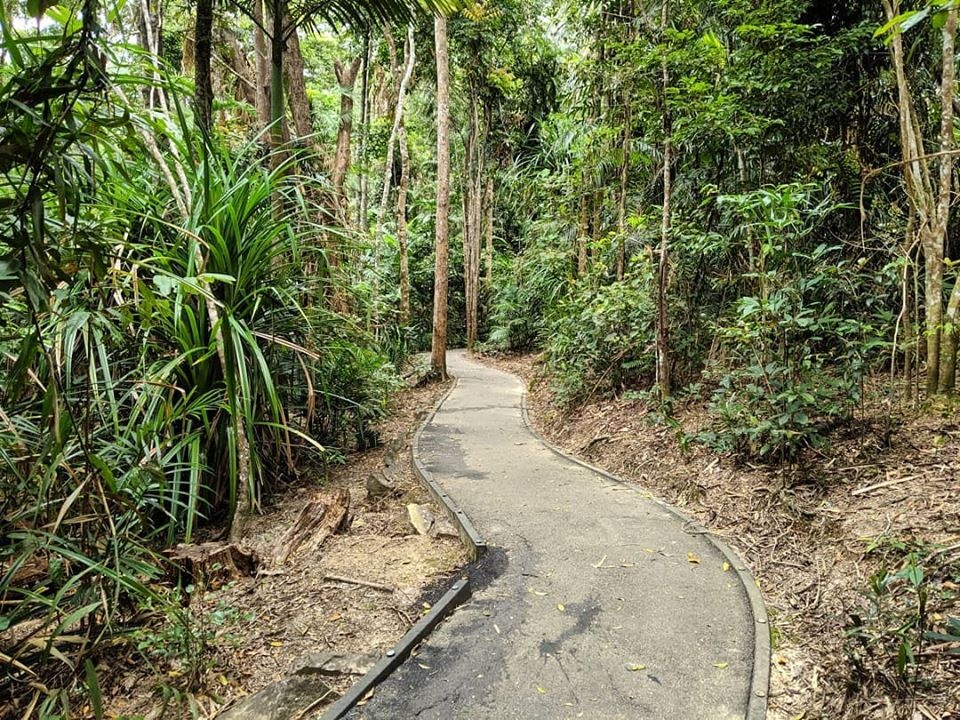 Rainforest boardwalk at Kuranda