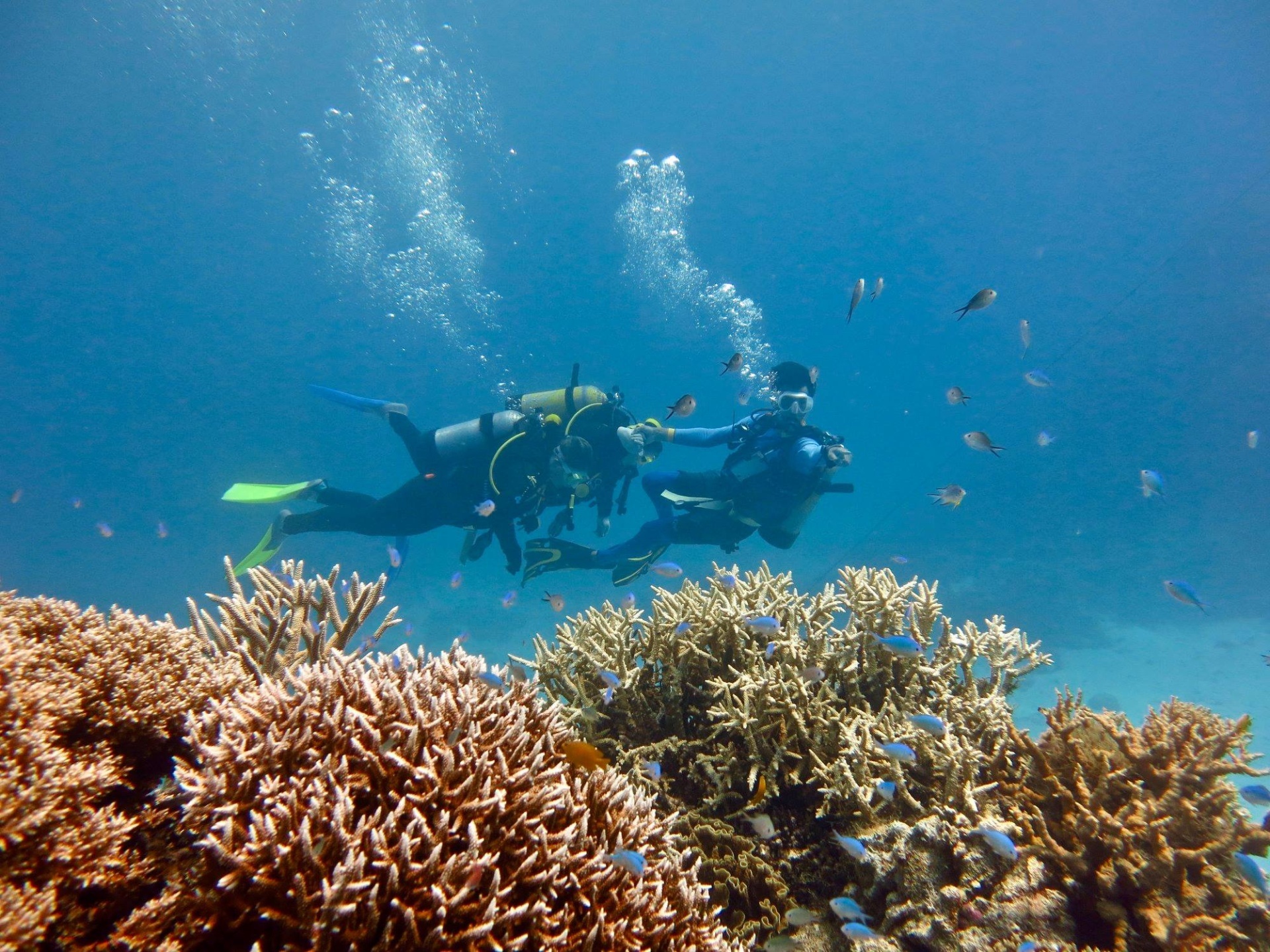 Scuba Diving the Great Barrier Reef