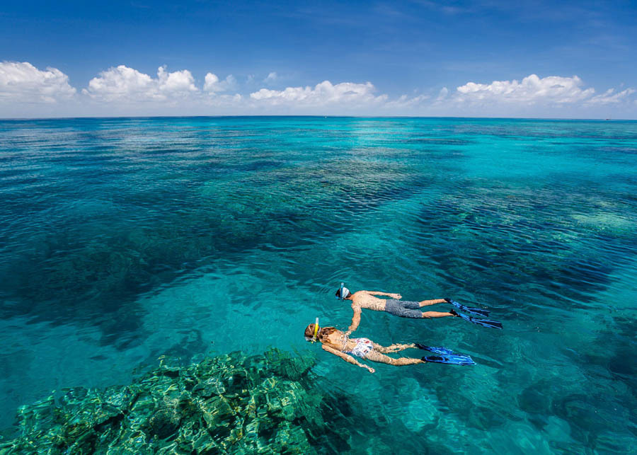 Snorkeling on the Great Barrier Reef