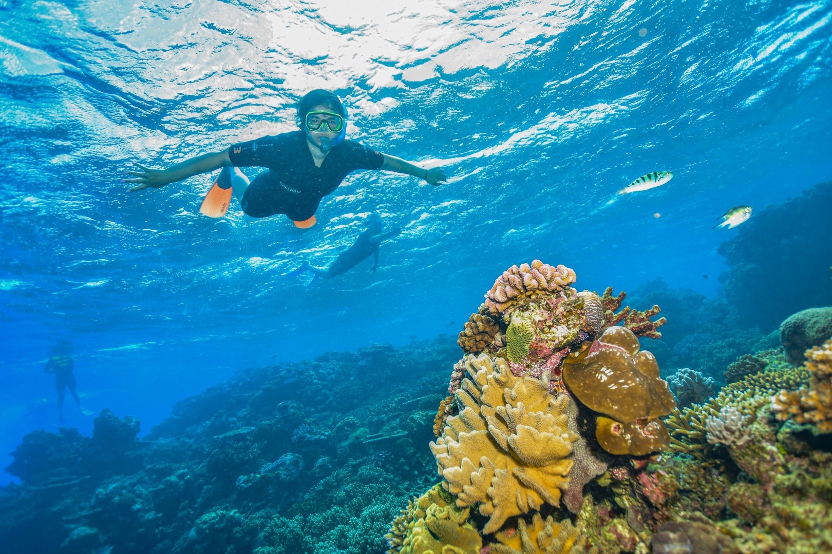 Snorkeling on the Great Barrier Reef