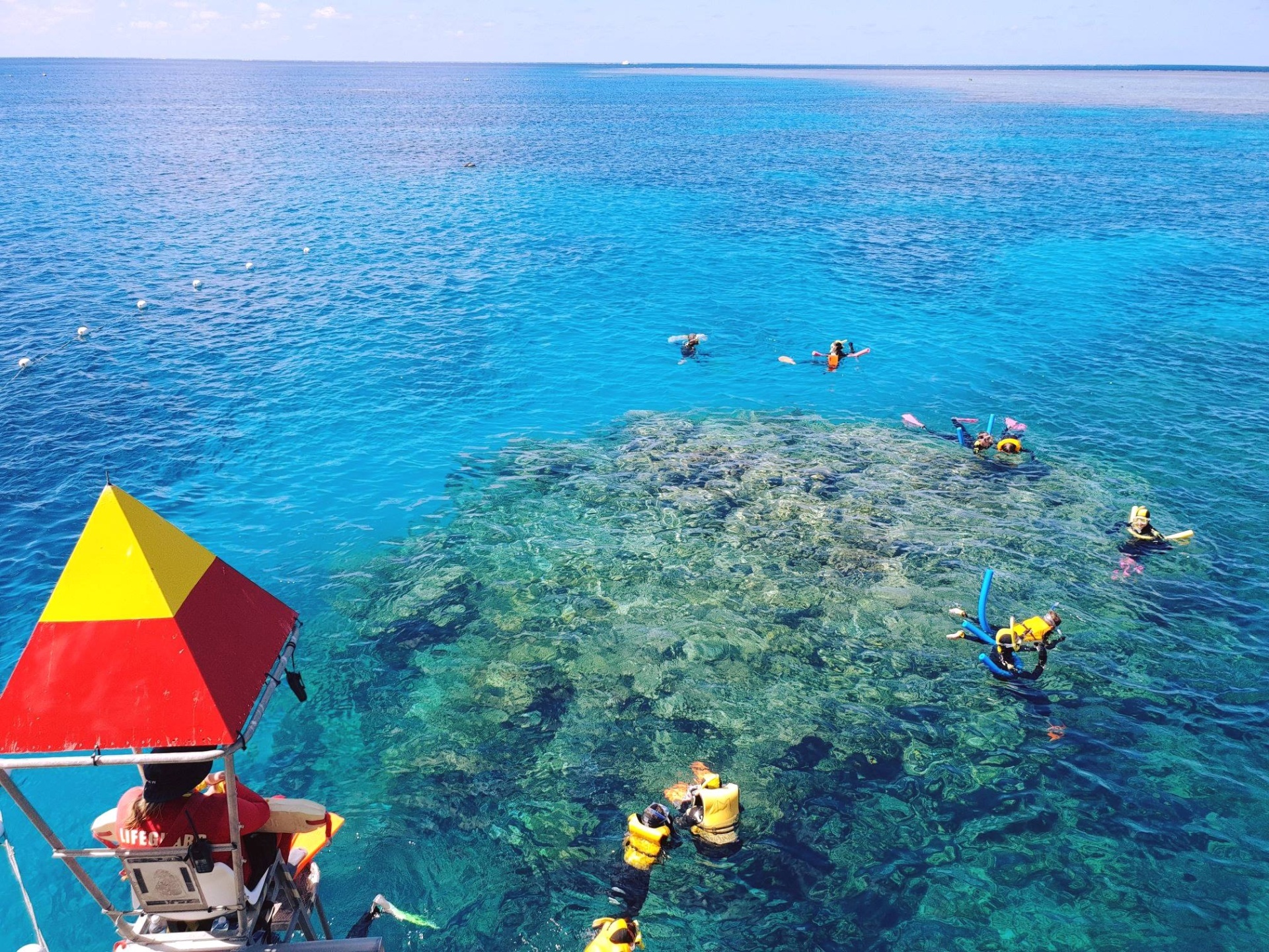 Snorkelling the Great Barrier Reef