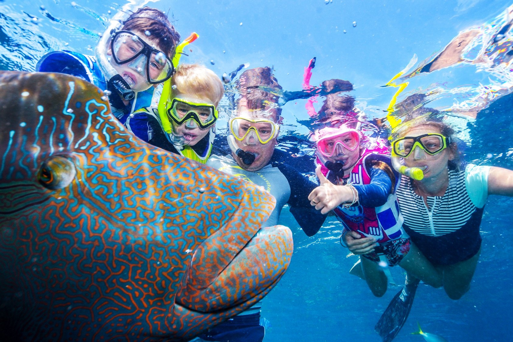 Sunlover Reef Tour Cairns