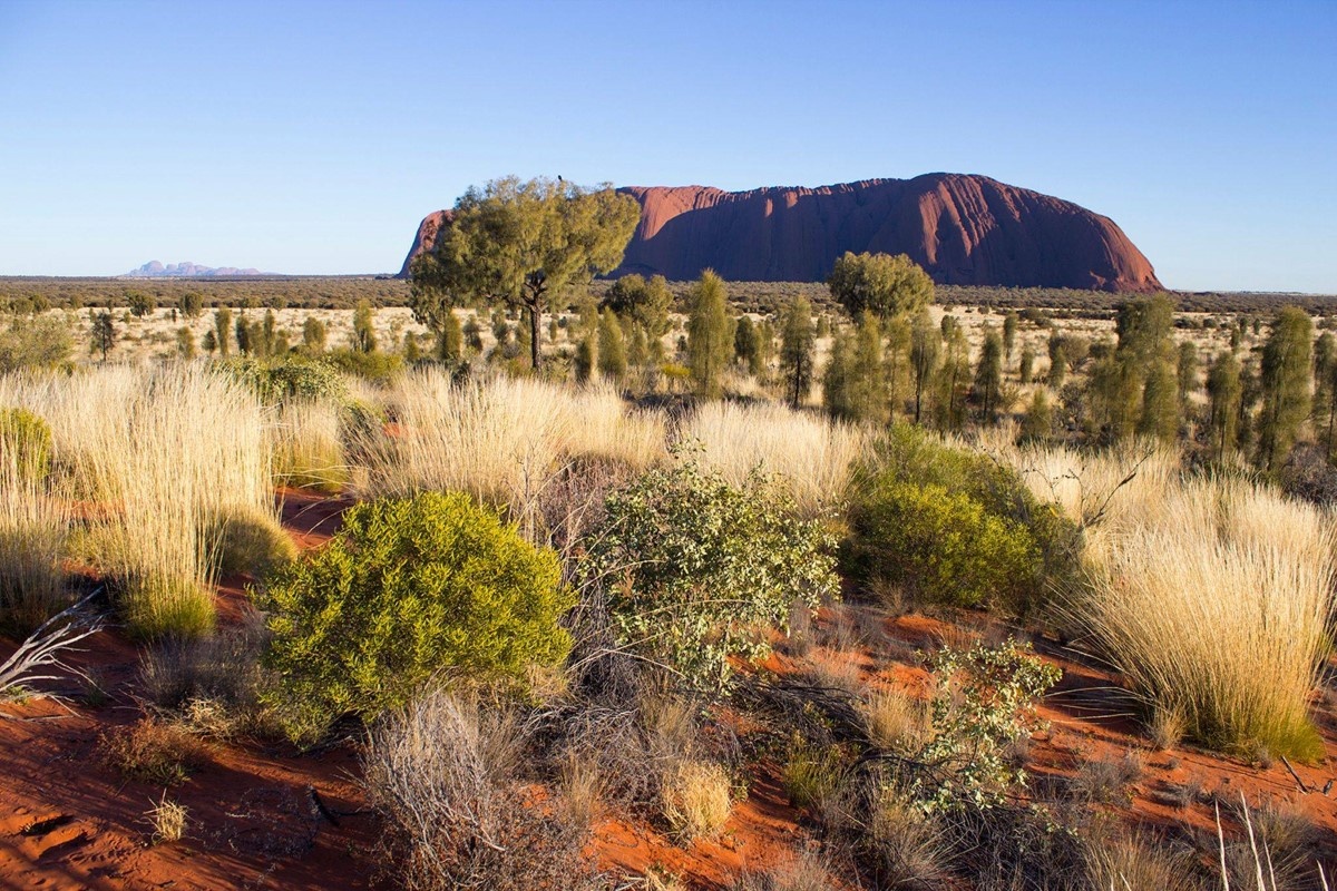 Uluru in the Red Centre Australia