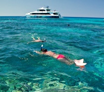 This is an active day all about being in the water for your dive or snorkel adventure of a lifetime!