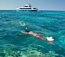 This is an active day all about being in the water for your dive or snorkel adventure of a lifetime!