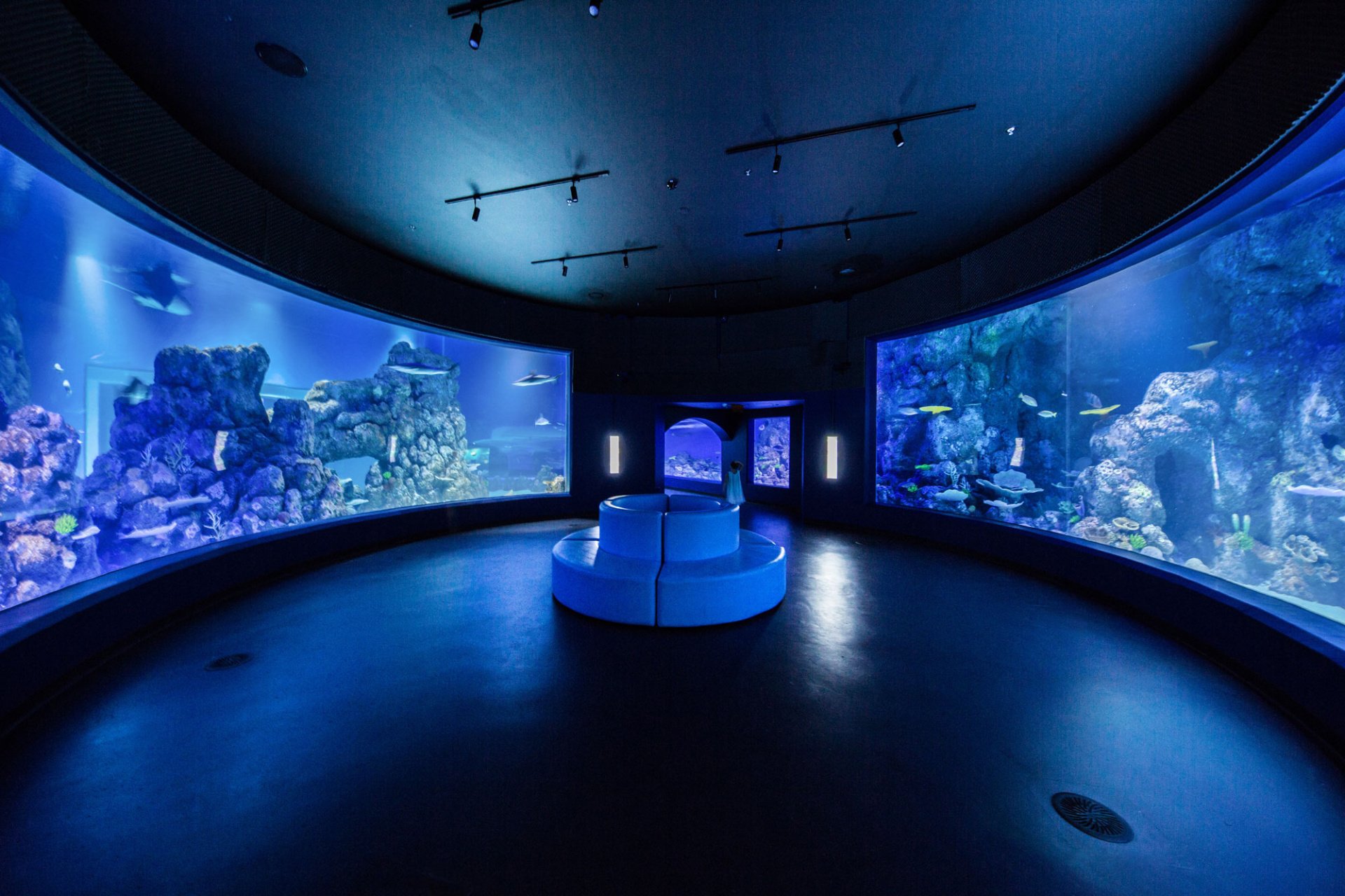 Cairns Aquarium Tourism Town The Tourism Marketplace Find and