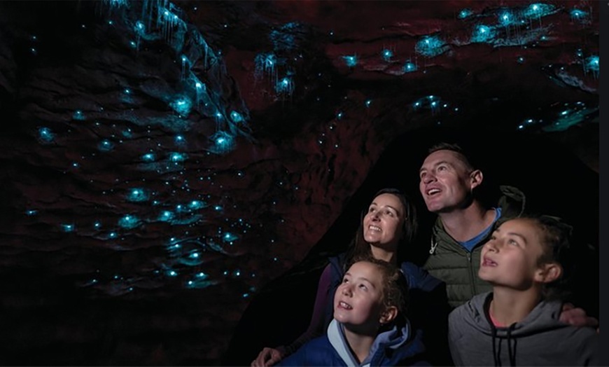 blue mountains glow worm tours photos