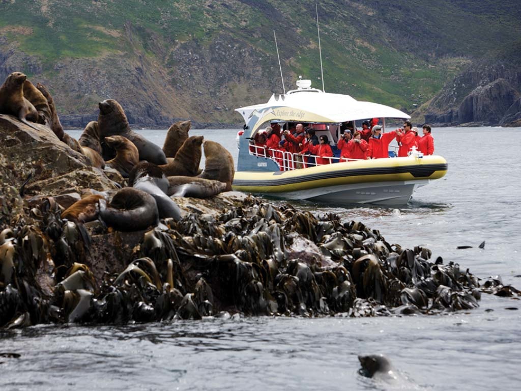 bruny island cruise departure