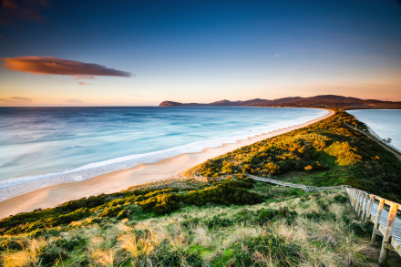 penguin tours bruny island