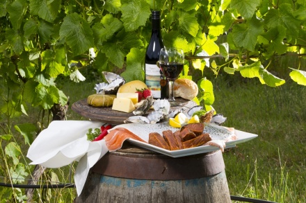 bruny island food and wine tour