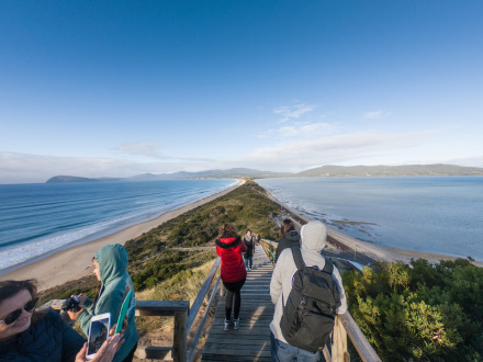 bruny island food and wine tour